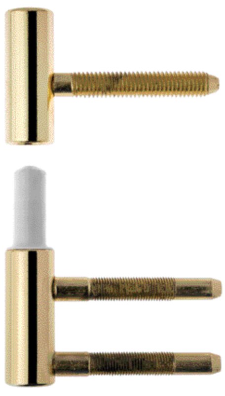 Mâle + Femelle doré